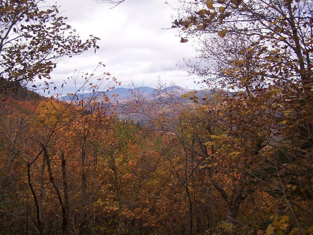 TriMount from Jimmy Dolan Notch