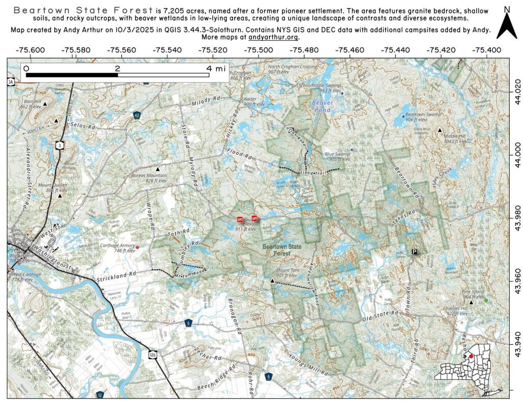 Beartown State Forest