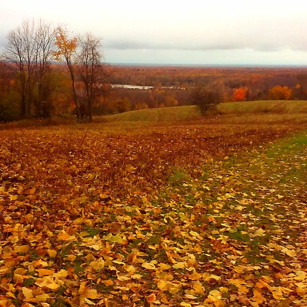 Autumn