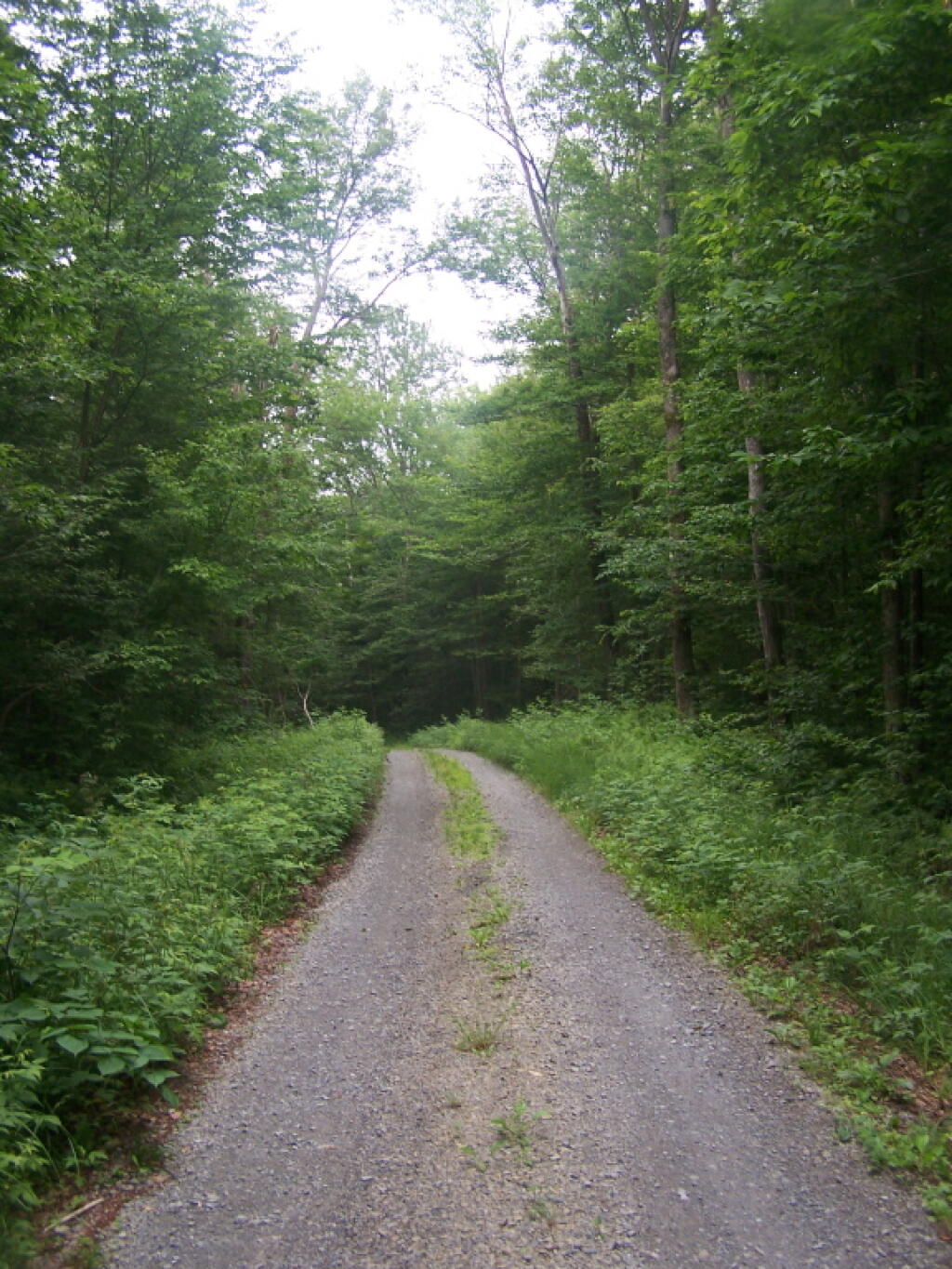 Wolf Lake Landing Road