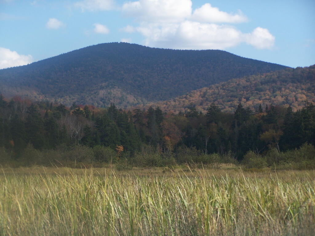Buck Mountain in West Canada Wilderness