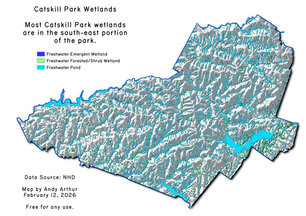 Catskill Park Wetlands