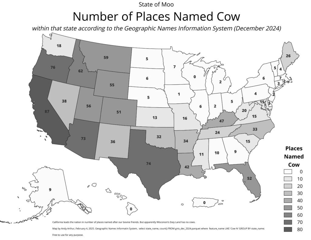 Untitled [Expires February 18 2025]