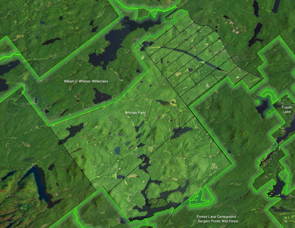 Untitled [Expires March 27 2025]