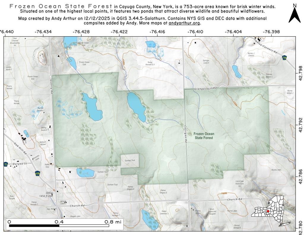  Frozen Ocean State Forest