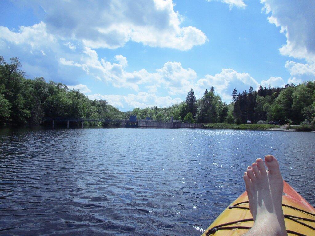  Clearing At Stewart Landing