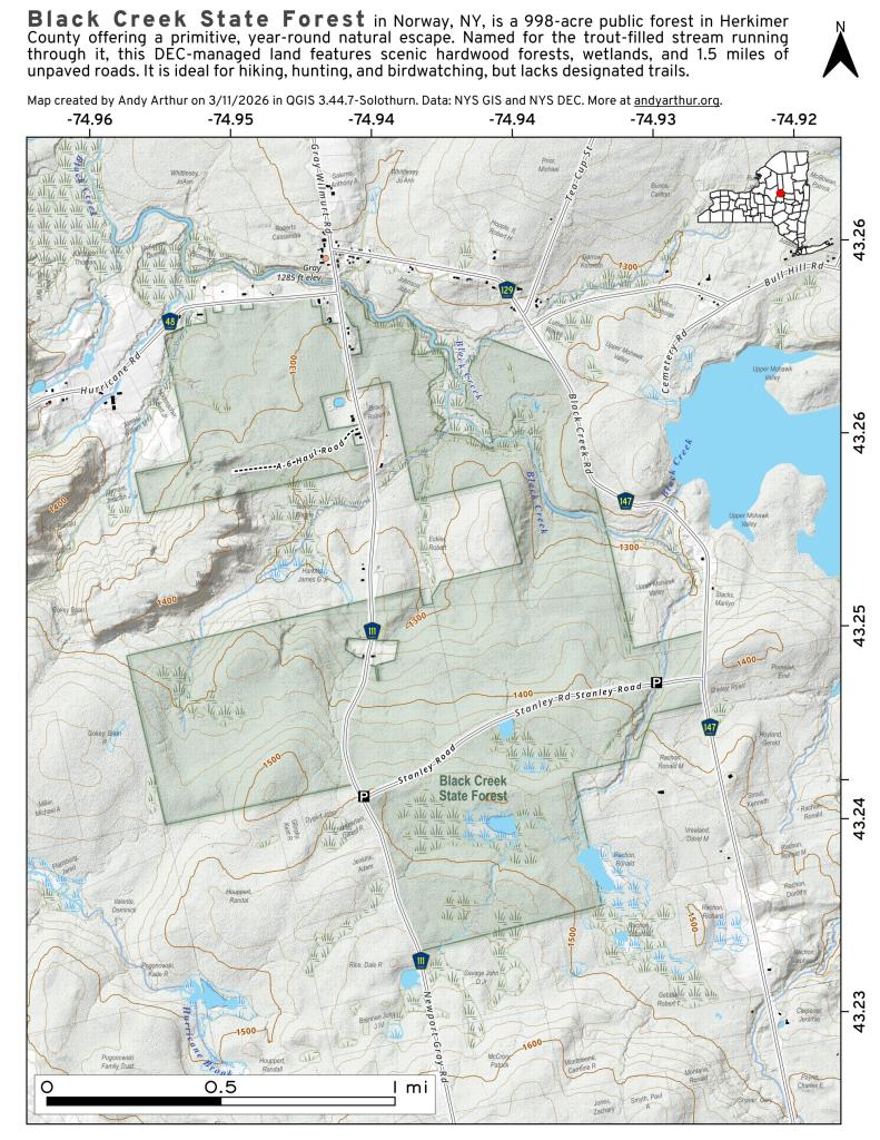  Black Creek State Forest In Norway