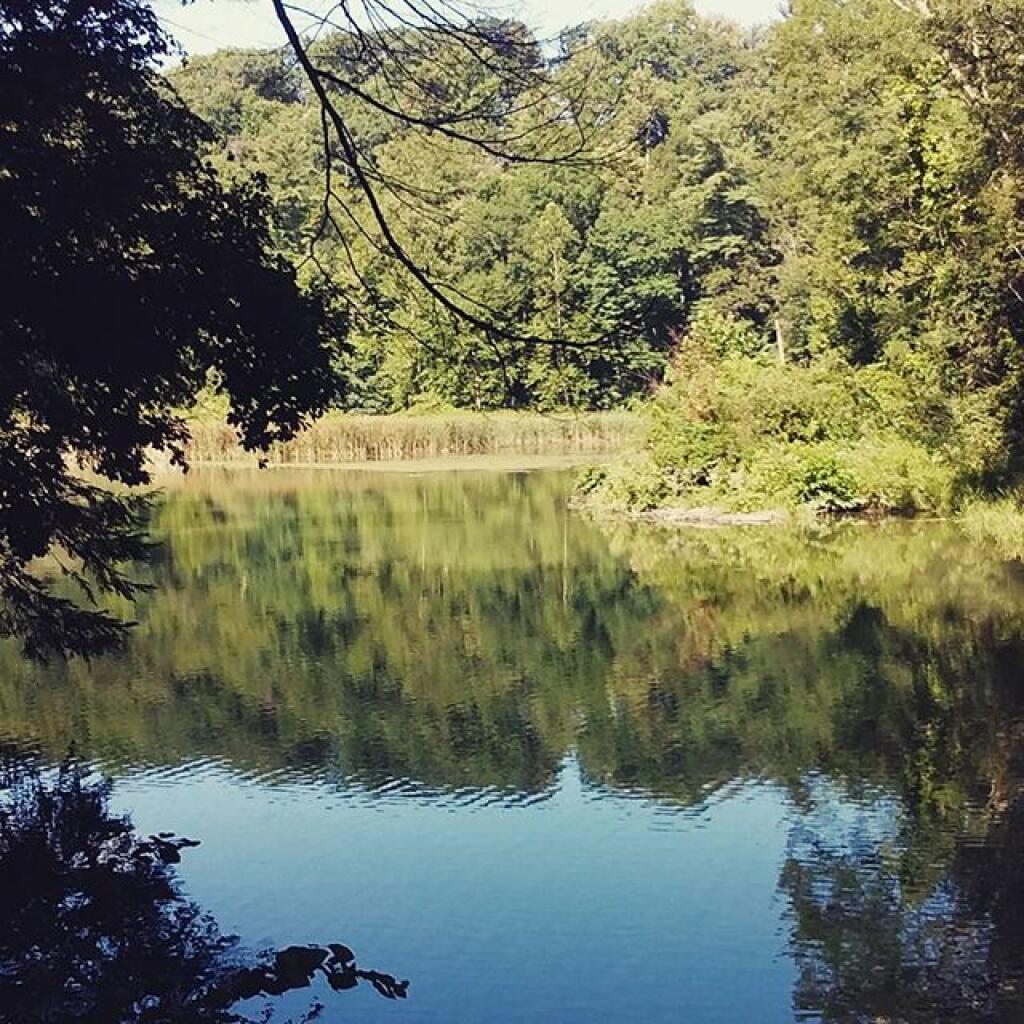 Glen Creek Lower Reservoir