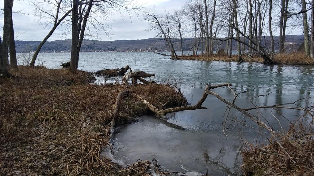 Photo: Shadow Brook