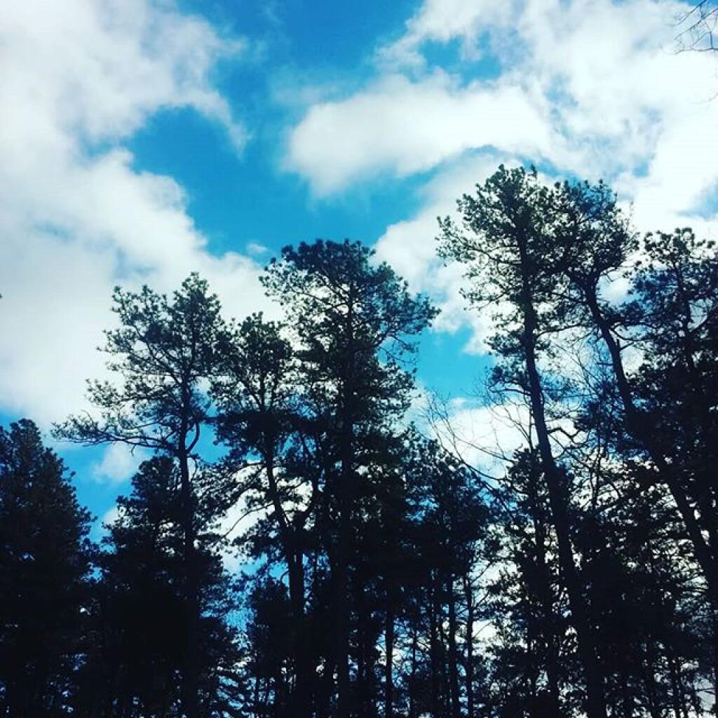 Photo: Kind of a chilly January day