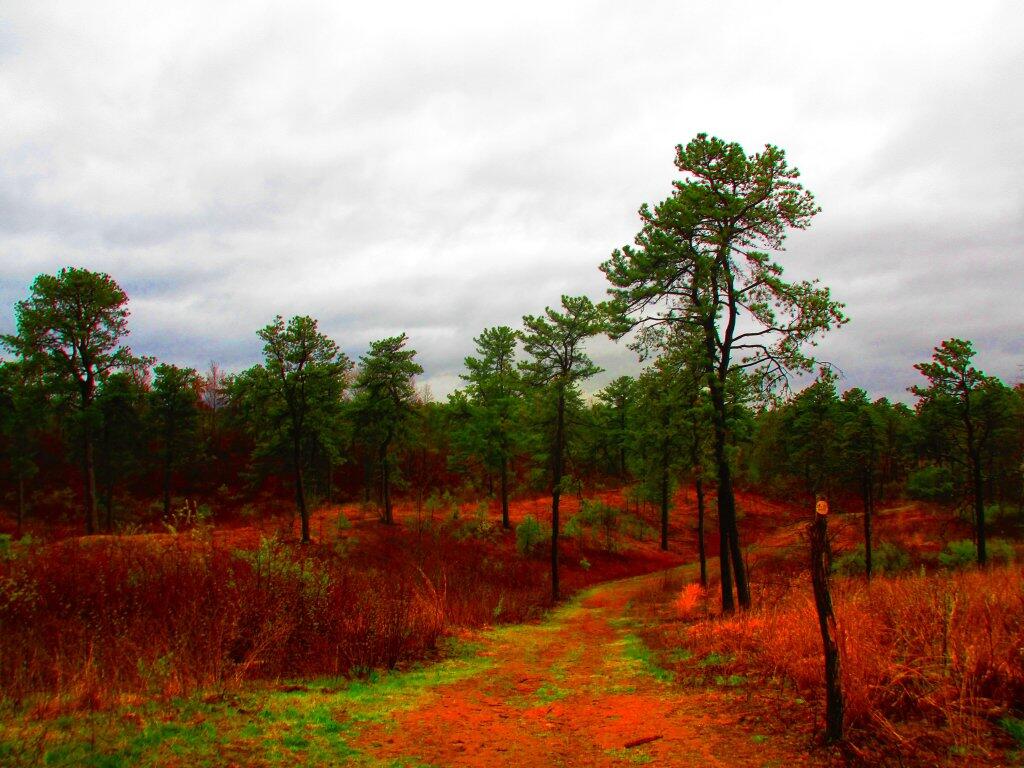 Photo: Cloudy