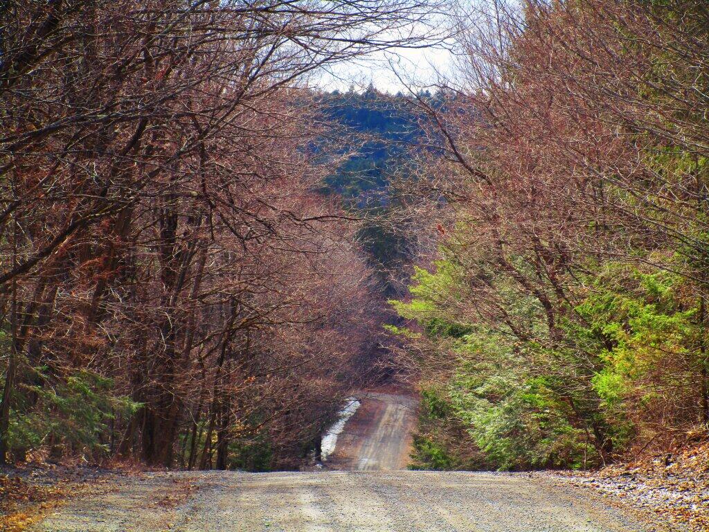 Photo: High Point Road