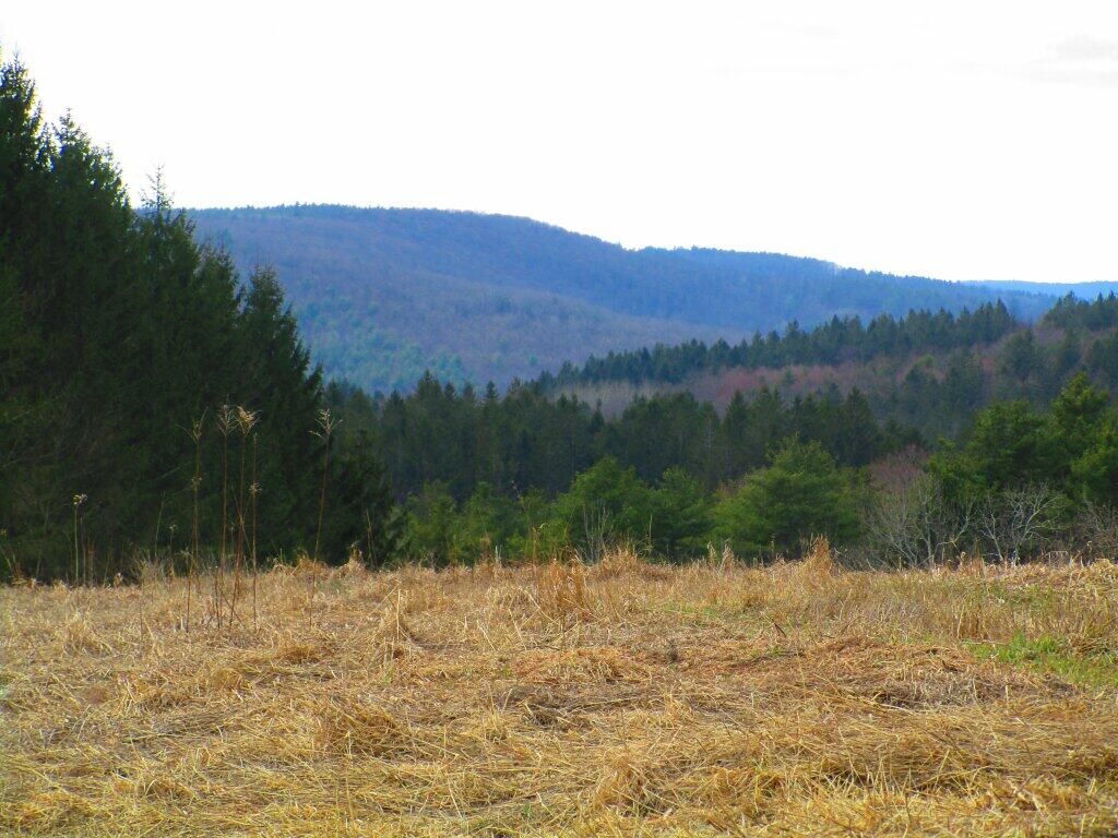 Photo: Hills