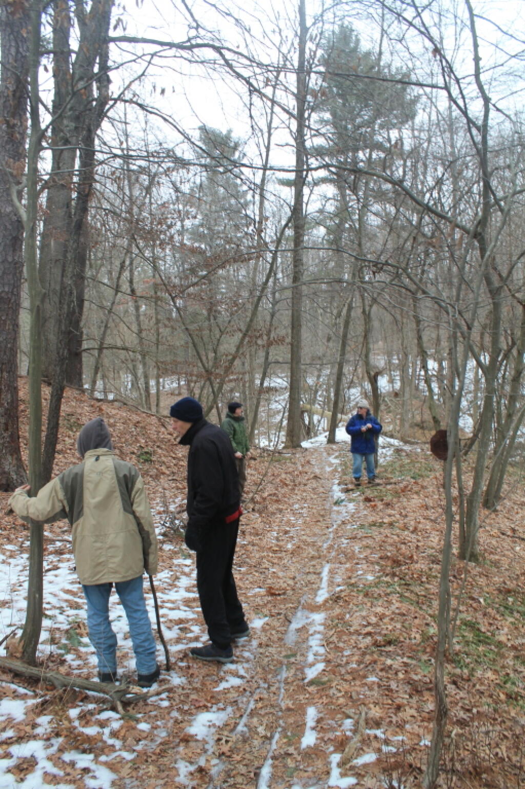 Photo: Old Woods Road