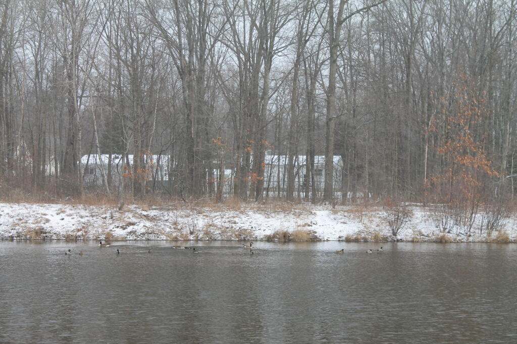 Photo: Across Preserve Pond