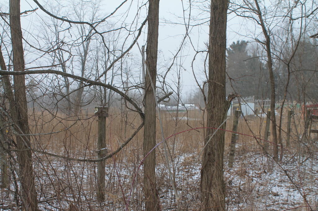 Photo: Stables Housing Development Parcel Photo: Stables Housing Development Parcel