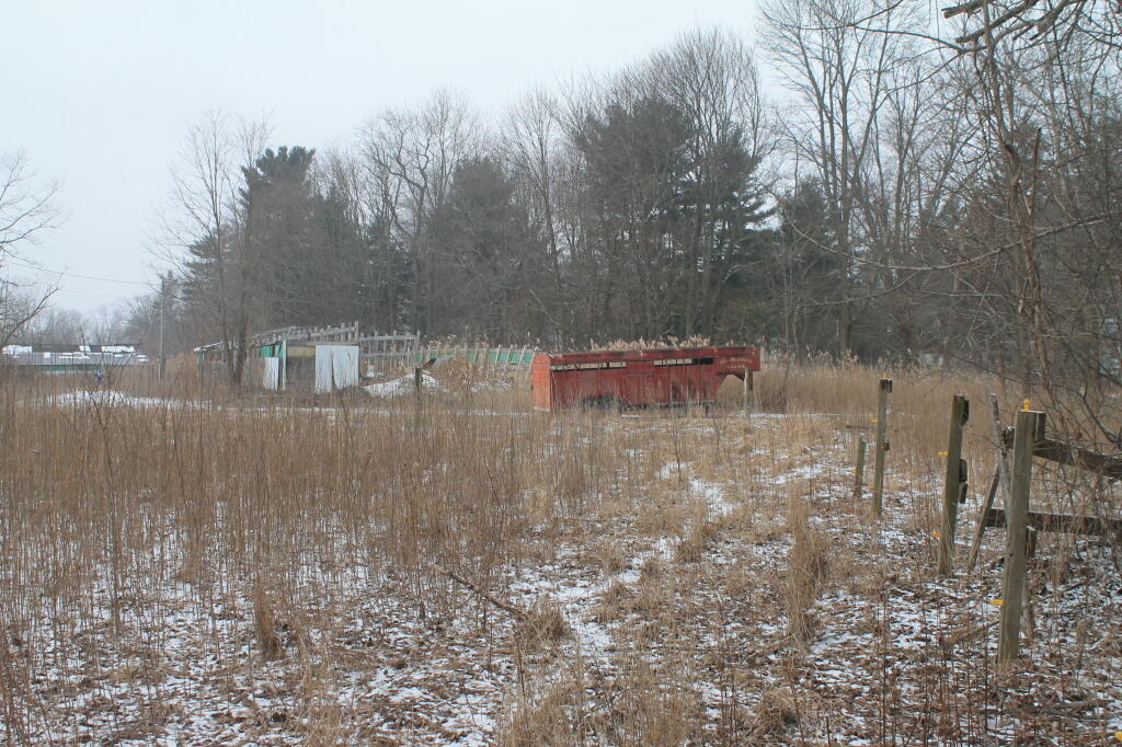Photo: The Old Horse Farm in the Pine Bush