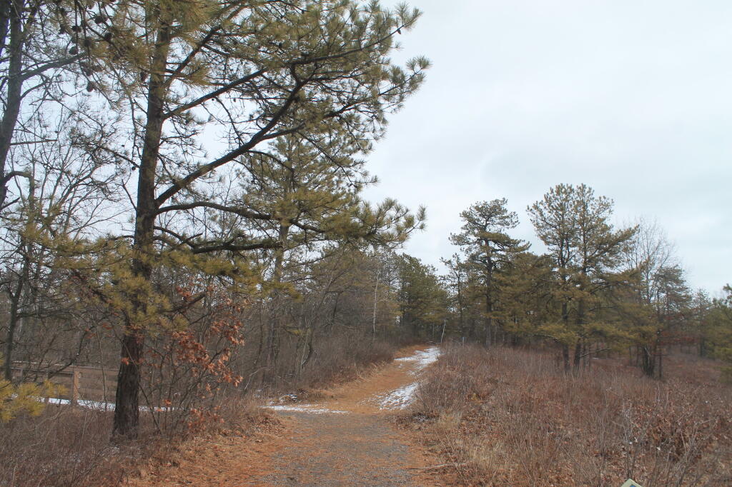 Photo: Dreary late winter day in the Barrens off Madison Ave Extension