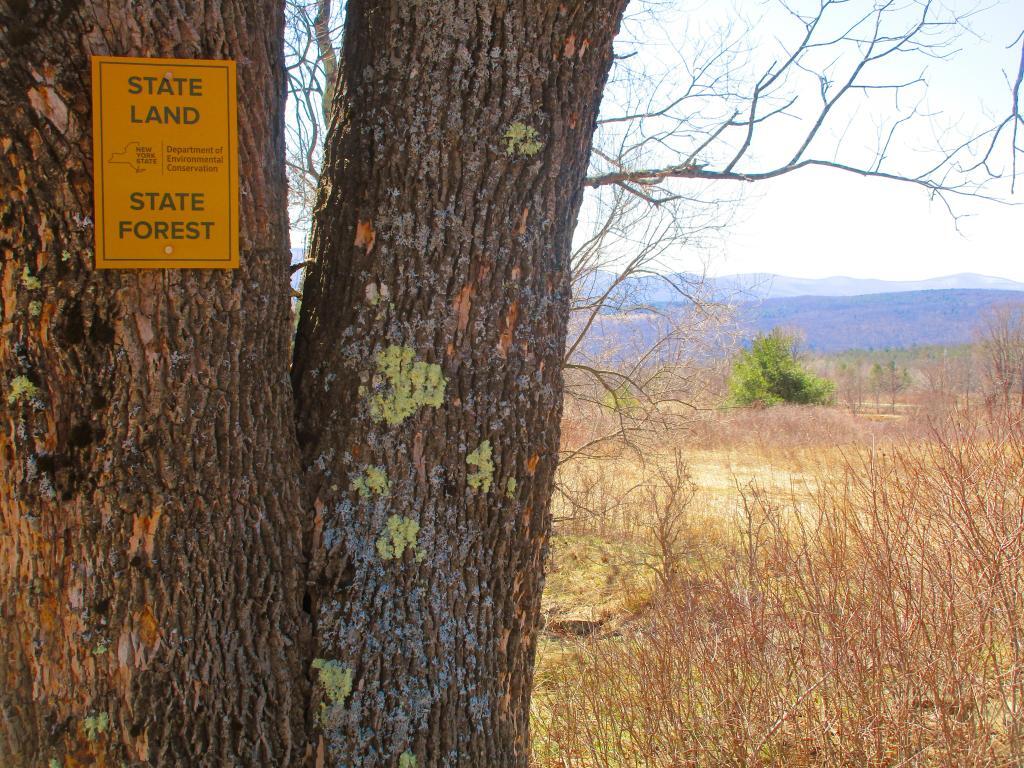 Photo: Hillcross Parcel is Now State Land