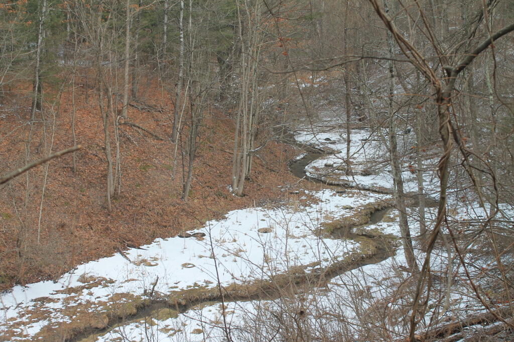 Photo: Kiakout Kill winds through late winter.