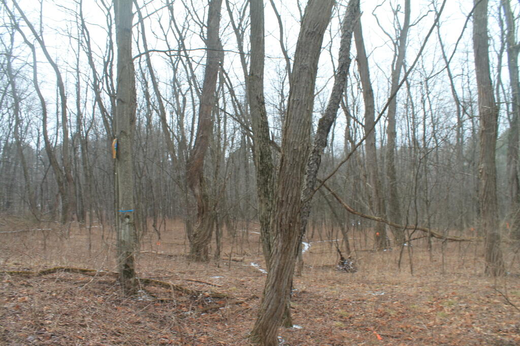 Photo: 40 Karner Road Photo: 40 Karner Road