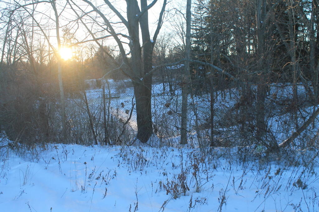 Photo: So Far the Dumping Don't Look So Bad Photo: So Far the Dumping Don't Look So Bad