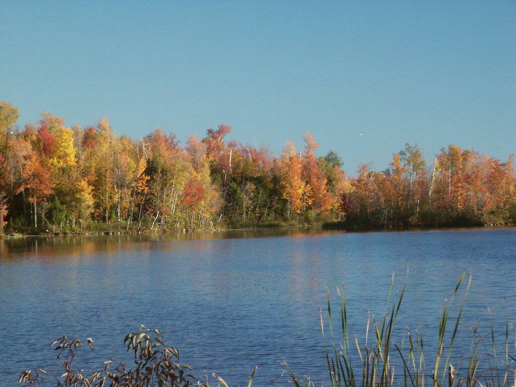 Photo: Lake Alice in Fall