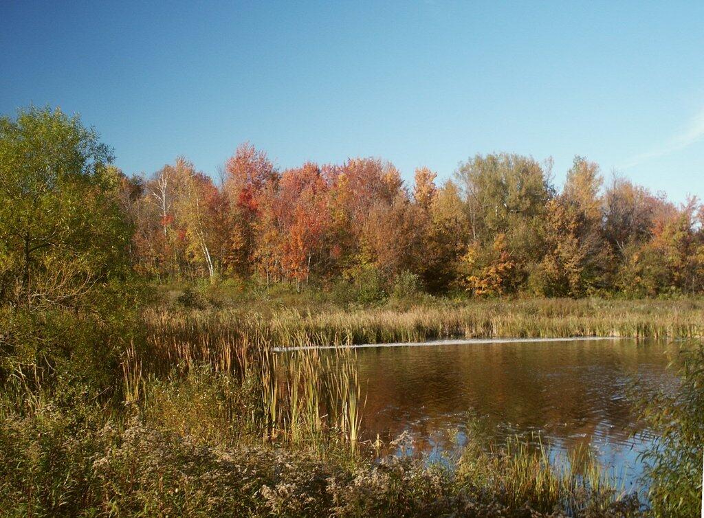 Photo: Lake Alice in Fall