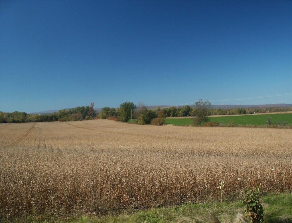 Photo: Farm Field Photo: Farm Field