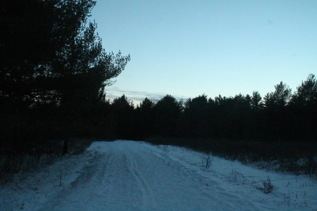 Photo: Framed by the Pitch Pines