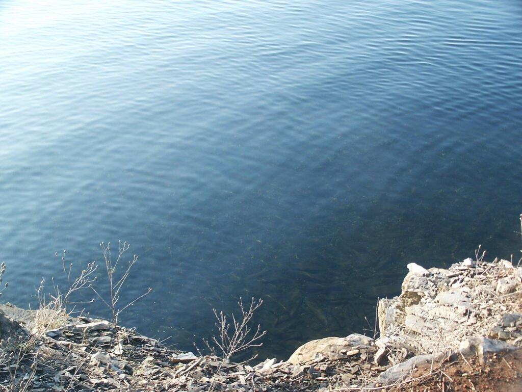 Photo: Deep Blue