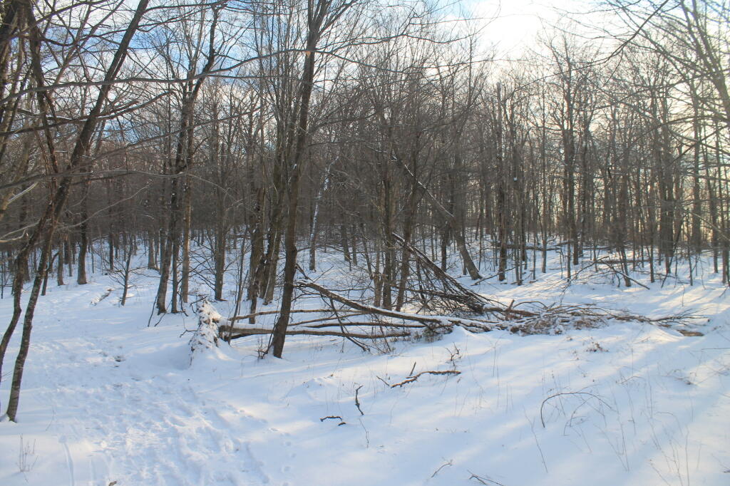 Photo: Beautiful Old Kiakout Kill Photo: Beautiful Old Kiakout Kill