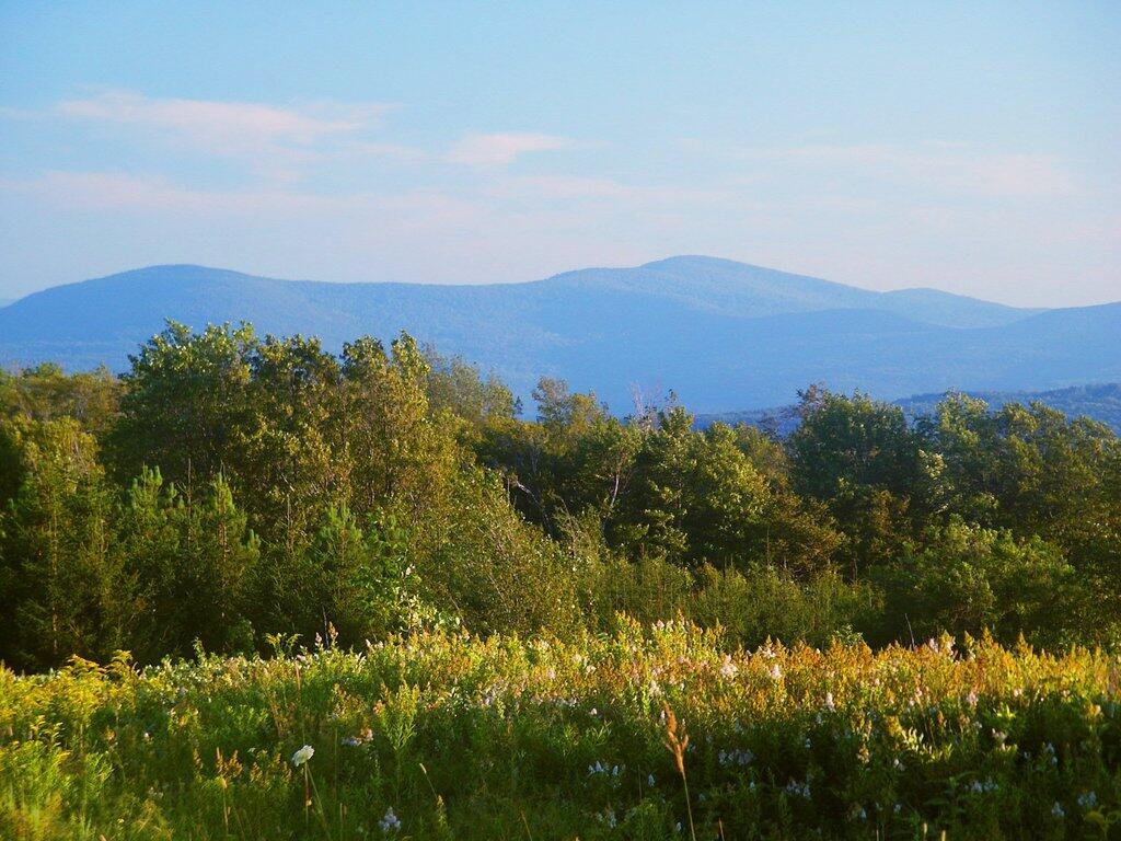 Photo: A spring day wandering fields of the OSI Parcel Photo: A spring day wandering fields of the OSI Parcel