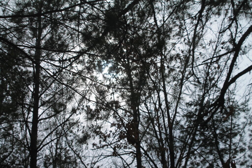 Photo: Photo.2013.03.03 15.06.02 Photo: Photo.2013.03.03 15.06.02