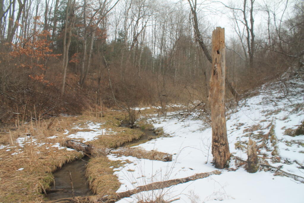 Photo: Kiakout Kill Winds Through the Snow