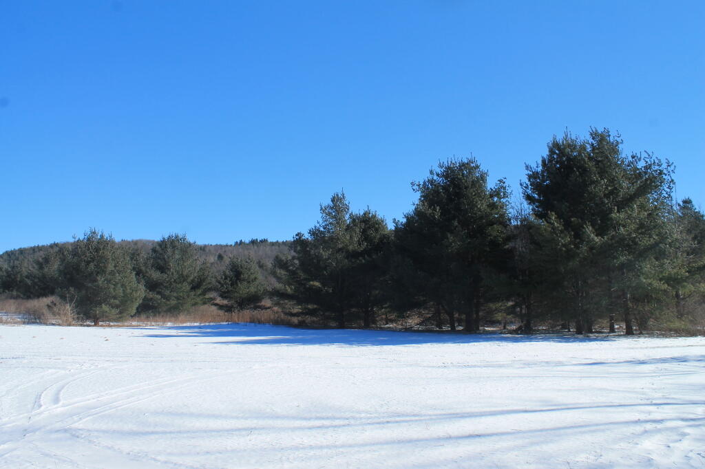 Photo: Bright Blue Skies Today