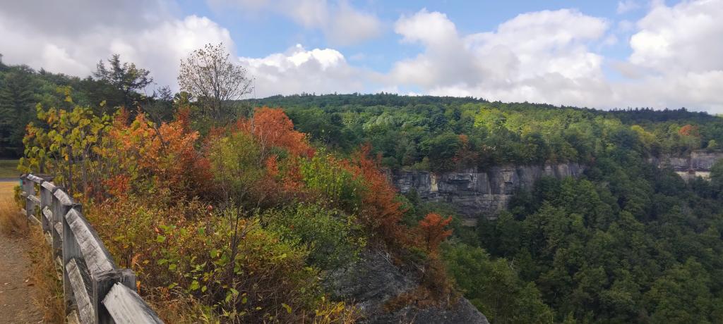 Photo: Autumn came early due to the drought