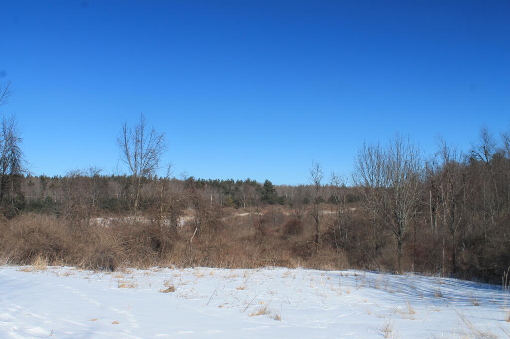 Photo: Scrublands Photo: Scrublands