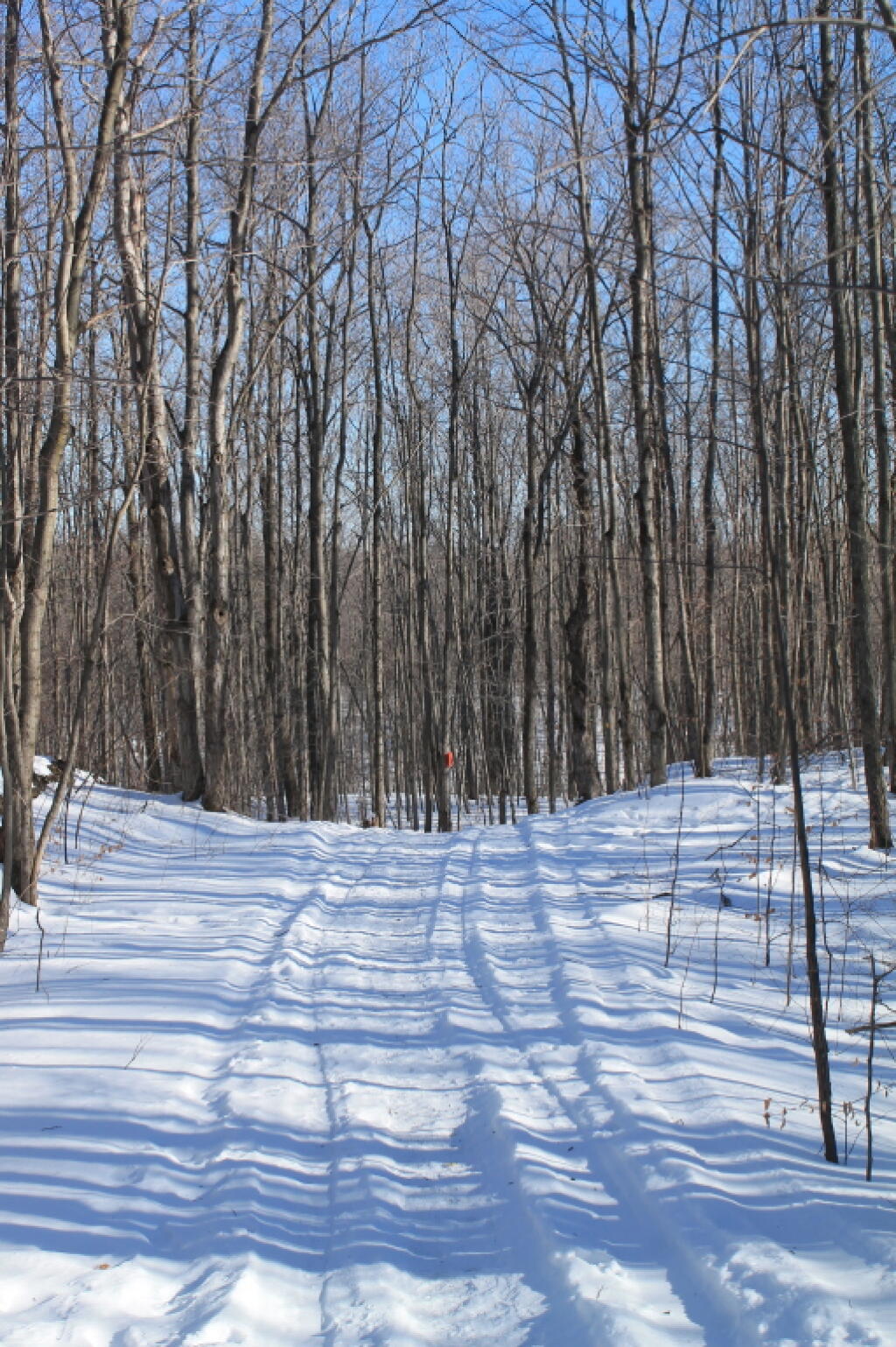 Photo: Along Old Carrick Road