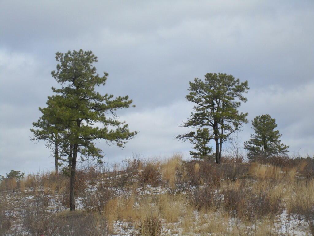 Photo: Cloudy Day Photo: Cloudy Day