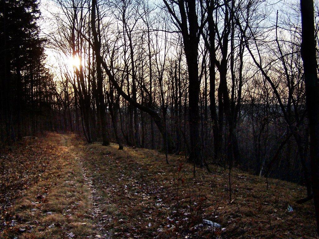 Photo: Evening on the Path