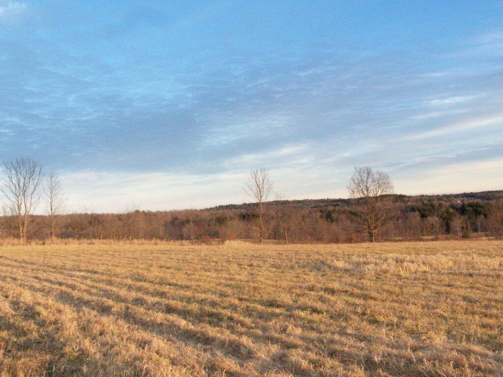 Photo: Field and Sky