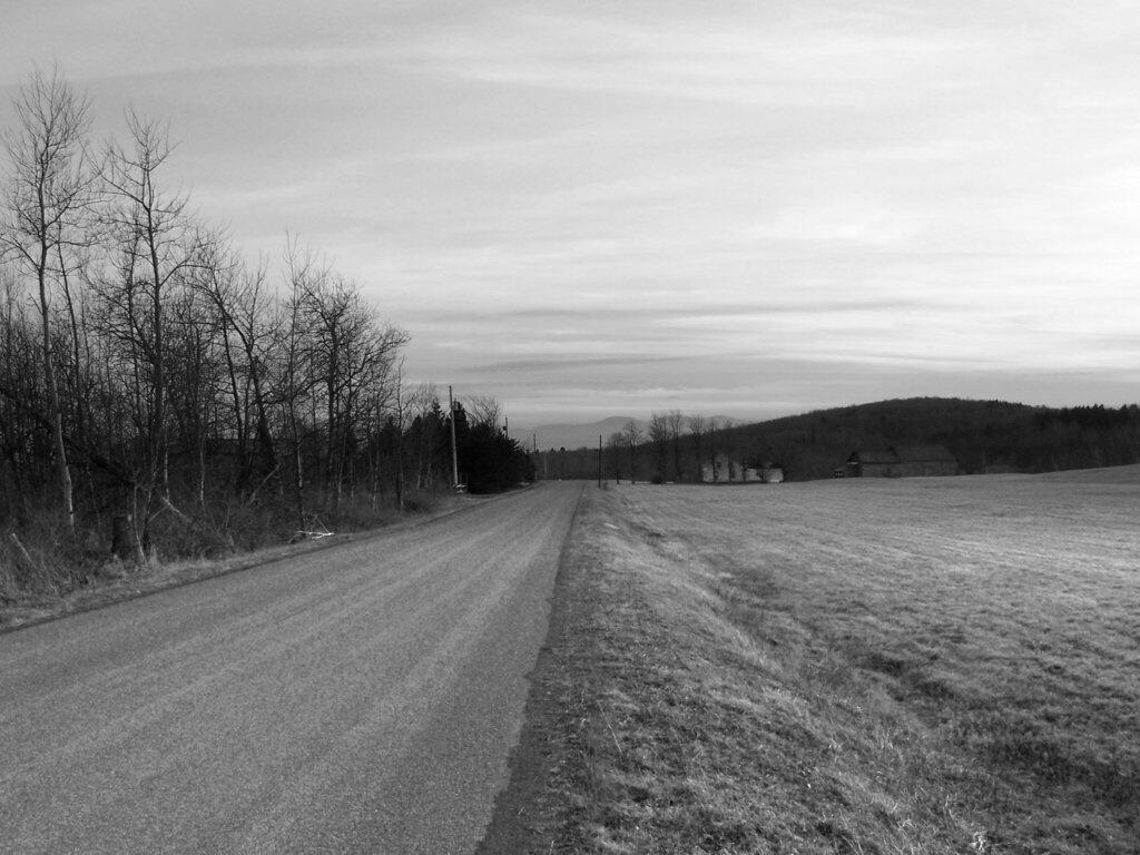 Photo: Gray Landscape