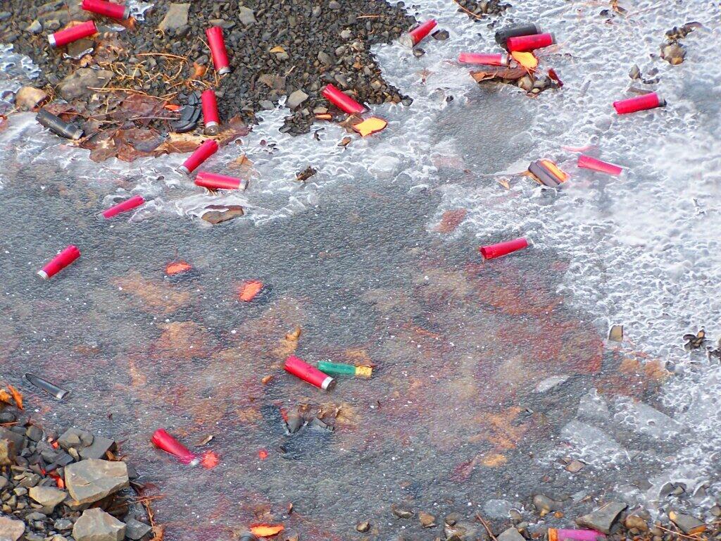 Photo: Shot Shells Photo: Shot Shells