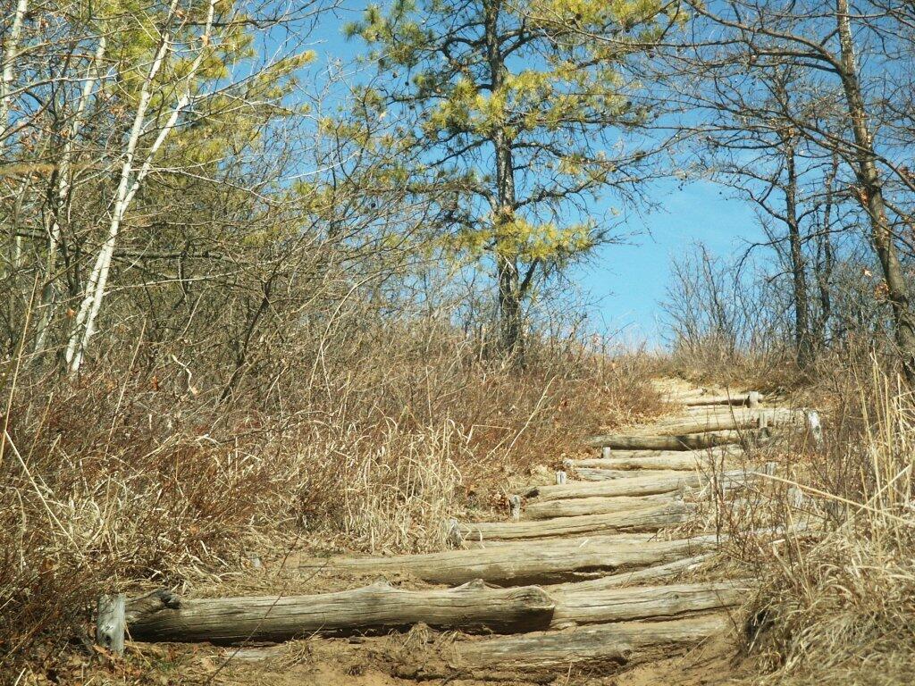 Photo: Pine Bush Stairs Photo: Pine Bush Stairs