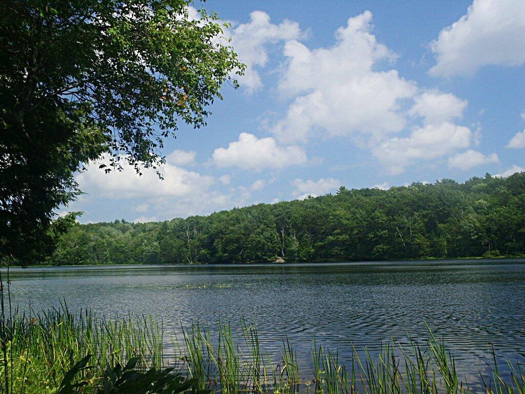 Photo: Tubs Pond Photo: Tubs Pond