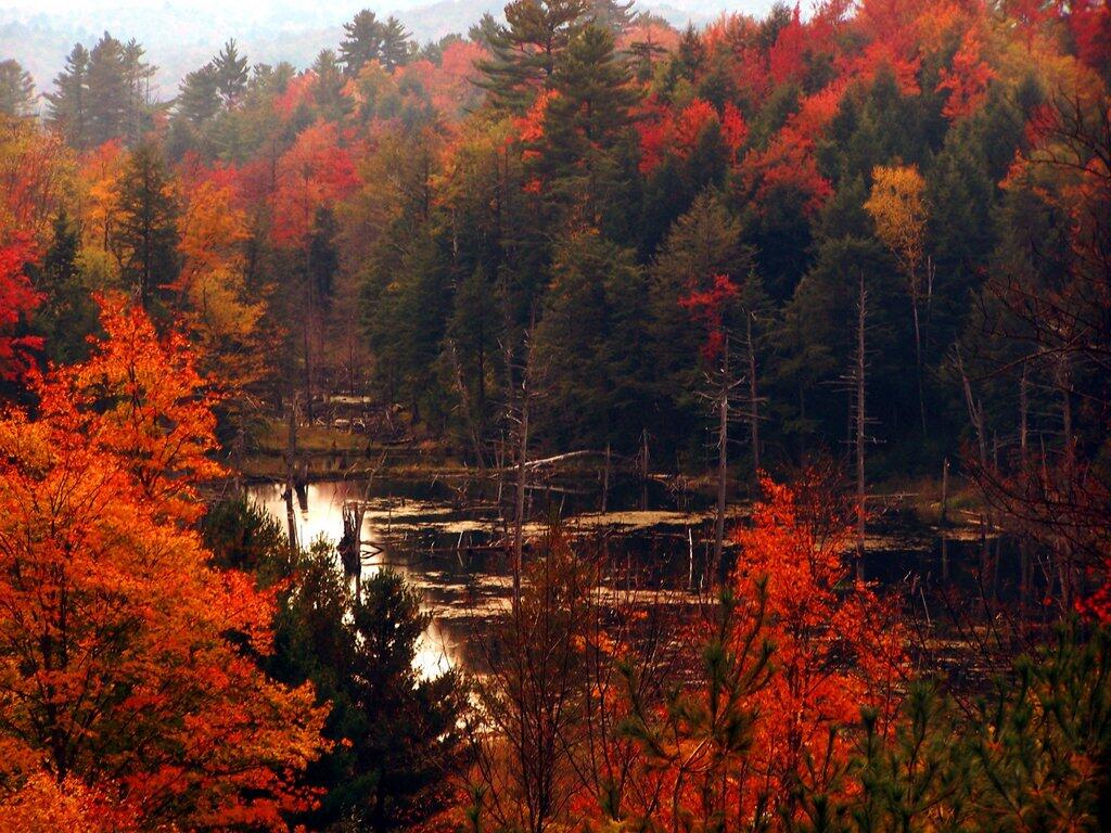 Photo: North Pond Photo: North Pond