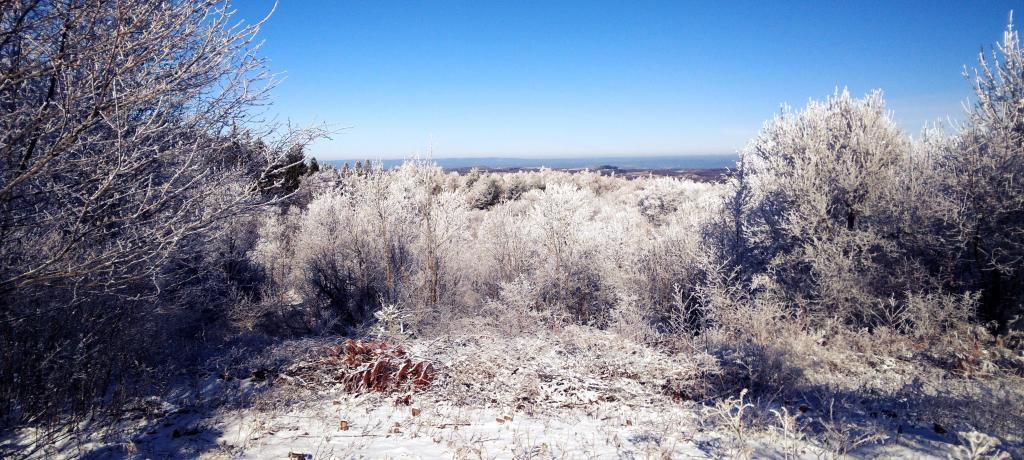 Photo: Looking Off Tassell Hill
