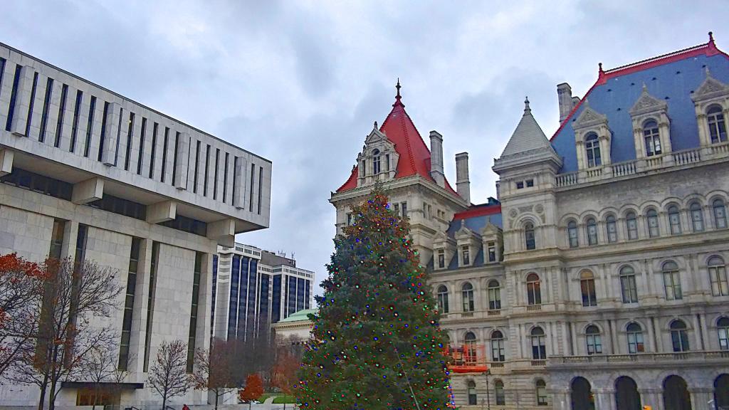 Photo: State Tree 2021 Photo: State Tree 2021
