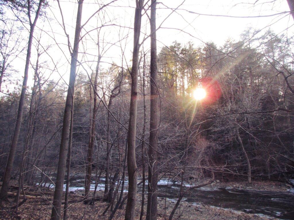 Photo: Creek